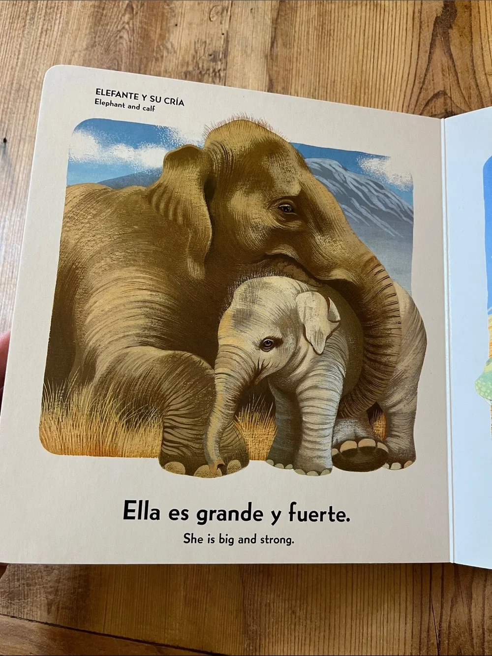 <Spanish & English> I Love My Mommy Because.. Quiero a mi mama porque Board Book
